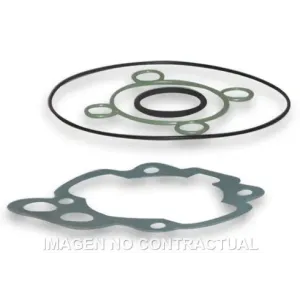 Juntas Cilindro Malossi 3112199