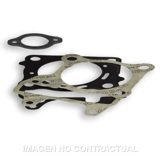 Juntas Malossi Honda PCX 125 - SH 125 - Forza