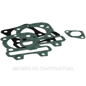 Juego juntas Malossi D. 49 mm