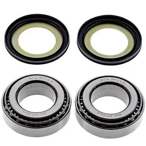 Kit de rodamientos y retenes columna de dirección All Balls 22-1003