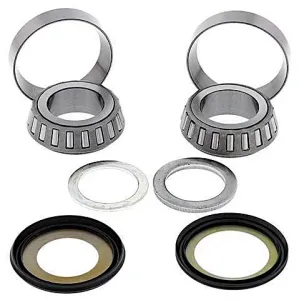 Kit de rodamientos y retenes columna de dirección All Balls 22-1029