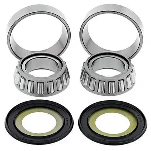 Kit de rodamientos y retenes columna de dirección All Balls 22-1062