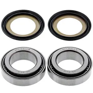 Kit de rodamientos y retenes columna de dirección All Balls 22-1067