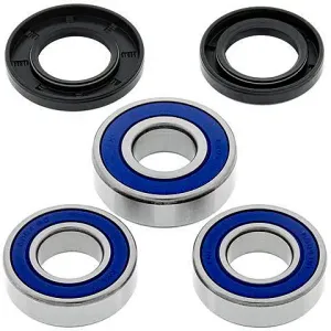 Kit de rodamientos rueda All Balls 25-1066