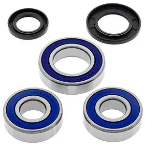 Kit de rodamientos rueda All Balls 25-1110