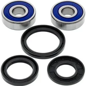 Kit de rodamientos rueda All Balls 25-1310