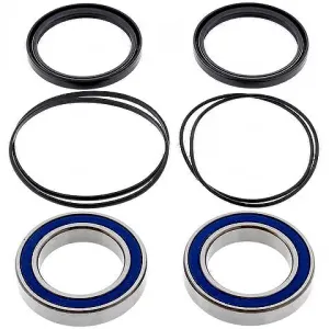 Kit de rodamientos rueda All Balls 25-1320