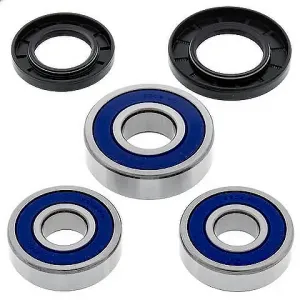 Kit de rodamientos rueda All Balls 25-1359