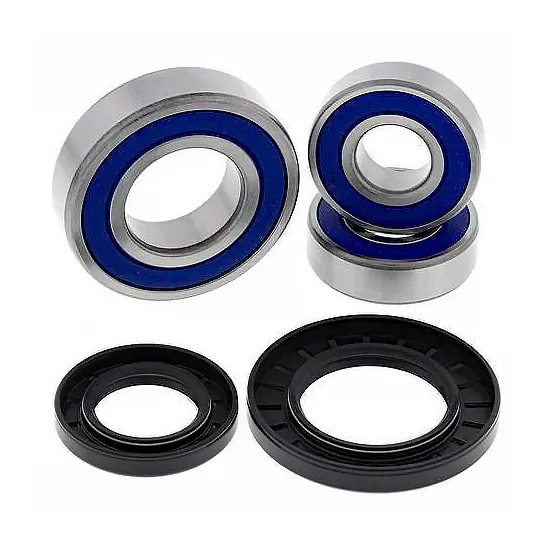 Kit de rodamientos rueda All Balls 25-1393
