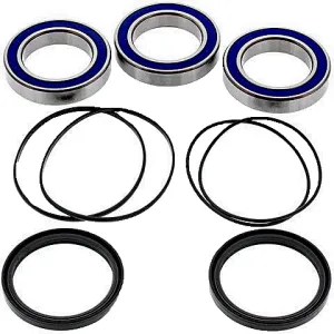 Kit de rodamientos rueda All Balls 25-1479