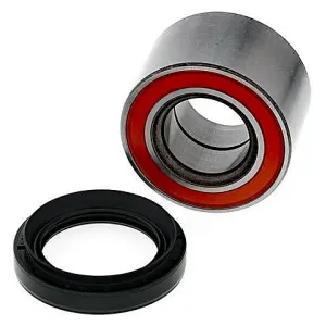 Kit de rodamientos rueda All Balls 25-1520