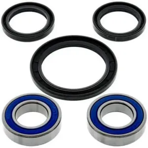 Kit de rodamientos rueda All Balls 25-1584