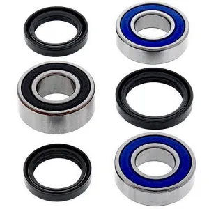 Kit de rodamientos rueda All Balls 25-1622