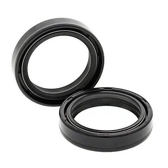 Kit de retenes de aceite horquilla All Balls 55-119