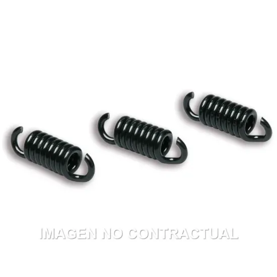 Juego De Muelles Para Embrague Delta Clutch FXR