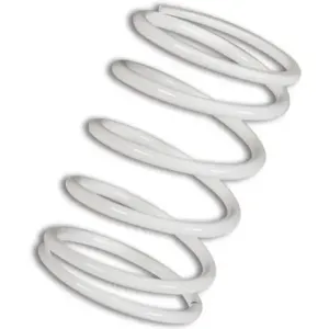 Muelle polea conducida Blanco  BMW C 600