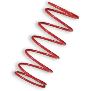Muelle Polea Conducida Rojo Piaggio Zip