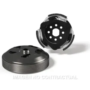 Maxi Delta System Malossi Piaggio Medley