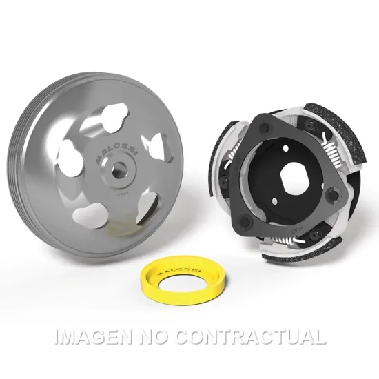 Maxi Fly System Malossi Honda Forza 125 ABS