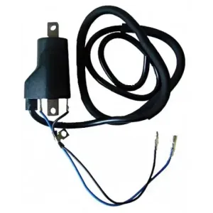 Bobina 12V - CC - 4,0 OHM - 2 Fastons - con cable 100 cm