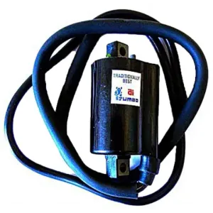 Bobina 12V - CC - 2,5 OHM - 2 Fastons - con cable 110 cm