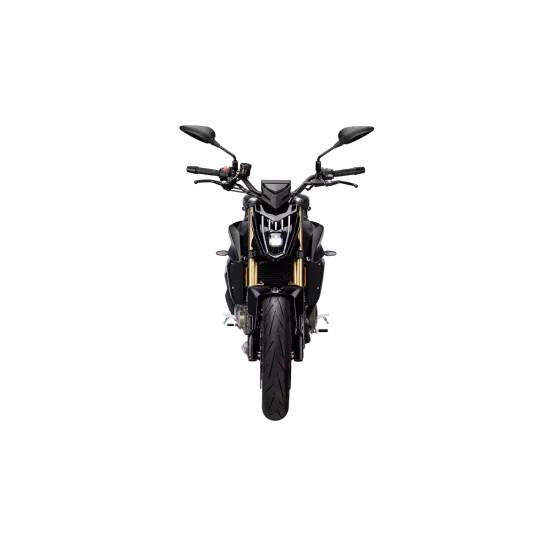 Naked QJmotor SRX 600