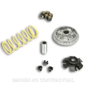 Variador Multivar SYM Joymax 250 , Citycom 300