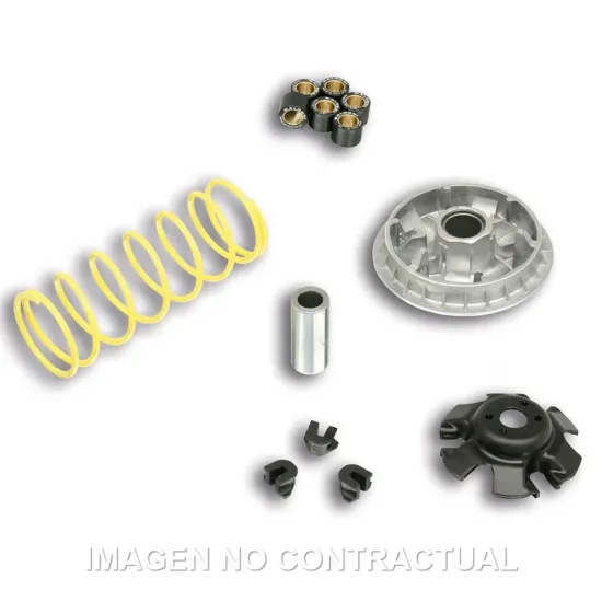 Variador Multivar SYM Joymax 250 , Citycom 300