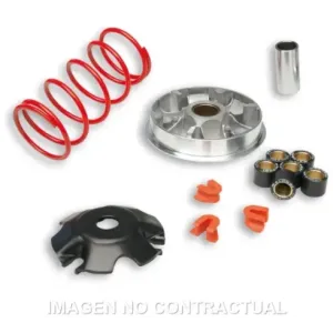 Variador Malossi Multivar  Yamaha D´Elight 115