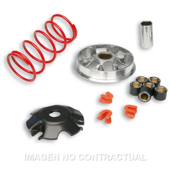 Variador Malossi Multivar  Yamaha D´Elight 115