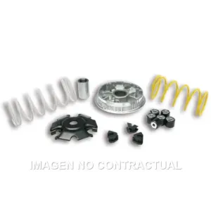 Variador Malossi Multivar