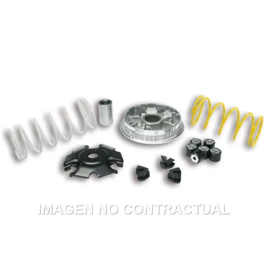 Variador Malossi Multivar