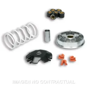 Variador Multivar Malossi Honda Lead 110