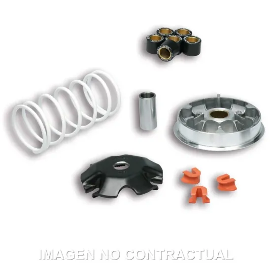 Variador Multivar Malossi Honda Lead 110