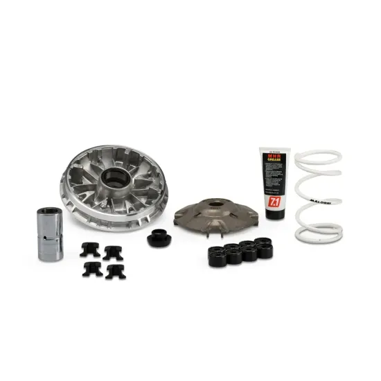 Variador Malossi Multivar Honda SH / Forza 350