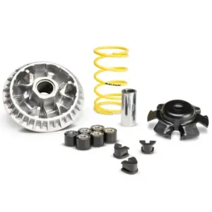 Variador Malossi Multivar SYM Joymax Z+ 300 IE E5