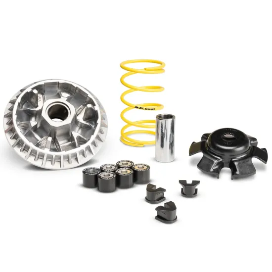 Variador Malossi Multivar SYM Joymax Z+ 300 IE E5