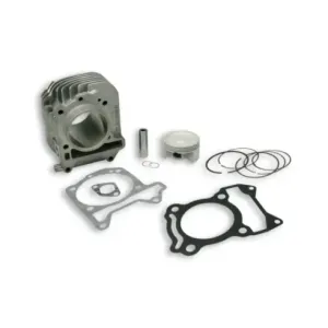 Cilindro Malossi D.63 Piaggio Liberty Iget 125 Euro5