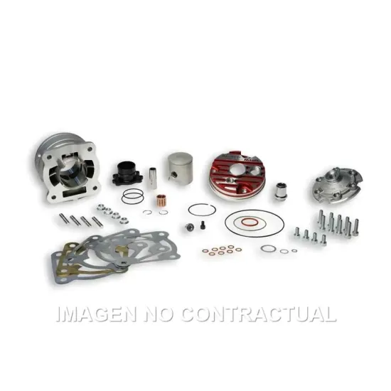 Grupo térmico Malossi MHR D.47,6 Testa Rosa FM Piaggio 50