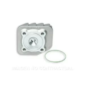 Culata Malossi D. 47mm Sym Jet Sport X