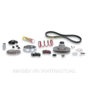 Over Range Malossi Motor Minarelli Rueda Pequeña Jog