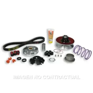 Over Range Malossi MHR Aluminium Piaggio