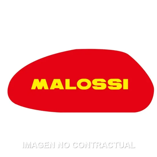 Filtro Aire Malossi Majesty 250, Leonardo 250