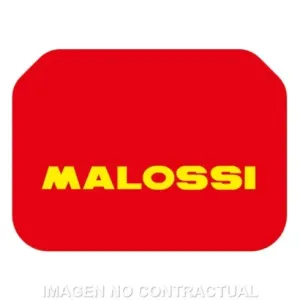 Filtro Aire Adaptable Malossi Suzuki Burgman 400