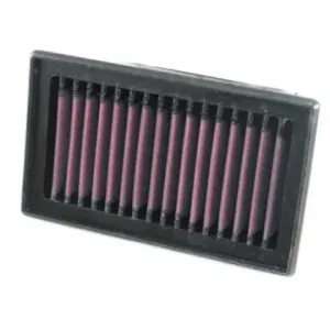 Filtro aire K&N BMW F 800 S/R