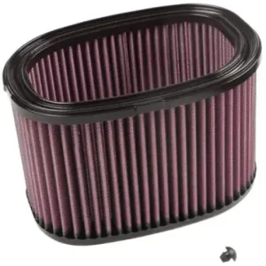 Filtro aire K&N Kawasaki KVF 750 Brute Force